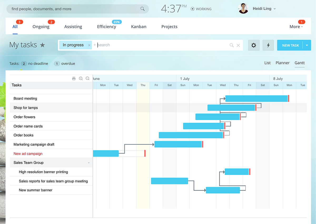 Bitrix 24 Project planning and management